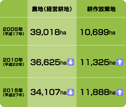 農地(経営耕地)と<br />耕作放棄地の面積は?”>
</div>
<div class=
